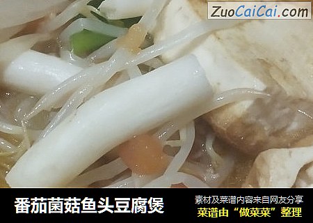 番茄菌菇鱼头豆腐煲
