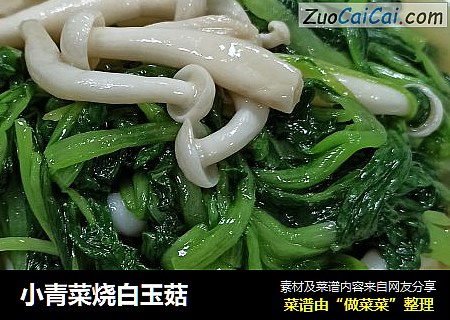 小青菜燒白玉菇封面圖