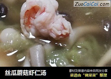 絲瓜蘑菇蝦仁湯封面圖