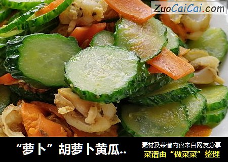 “蘿蔔”胡蘿蔔黃瓜扇貝肉封面圖