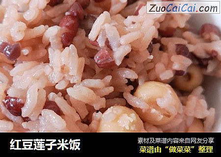 紅豆蓮子米飯封面圖