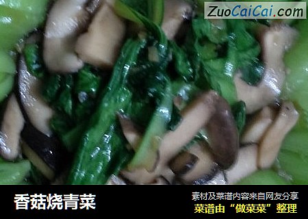 香菇燒青菜封面圖