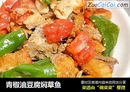 青椒油豆腐焖草魚封面圖
