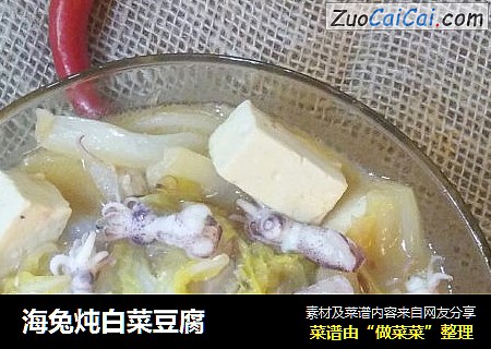 海兔炖白菜豆腐封面圖