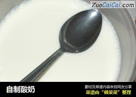 自制酸奶