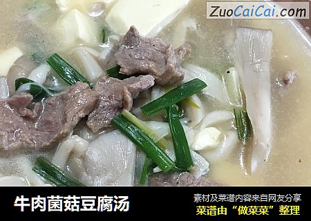 牛肉菌菇豆腐湯封面圖