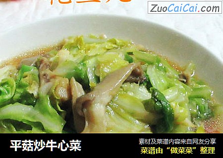 平菇炒牛心菜