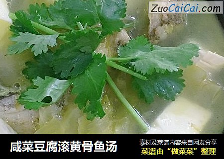 鹹菜豆腐滾黃骨魚湯封面圖
