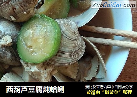 西葫蘆豆腐炖蛤蜊封面圖