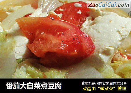 番茄大白菜煮豆腐封面圖