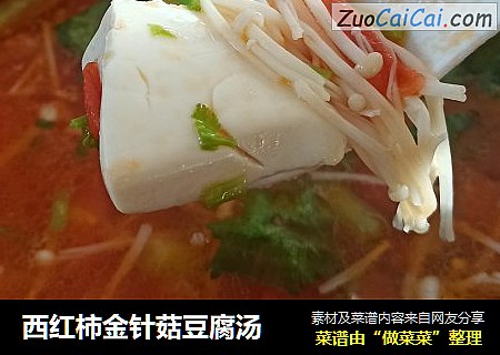 西紅柿金針菇豆腐湯封面圖