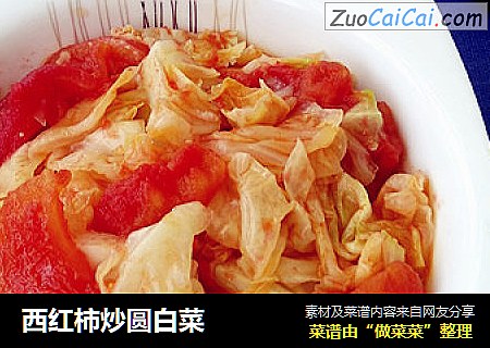 西紅柿炒圓白菜封面圖
