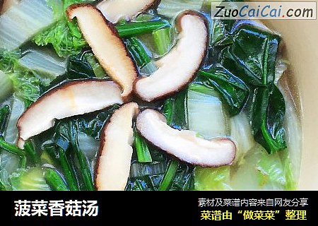 菠菜香菇湯封面圖