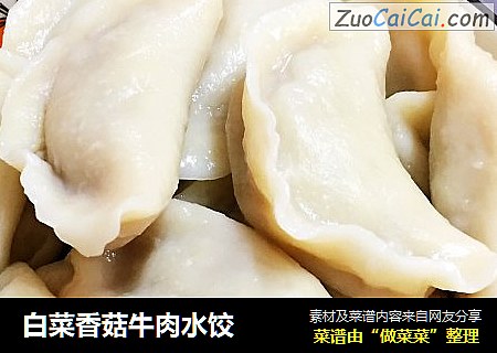 白菜香菇牛肉水饺
