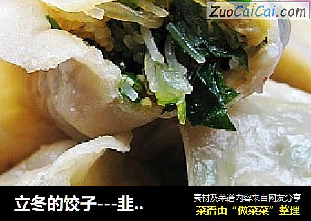立冬的饺子---韭菜蒸饺