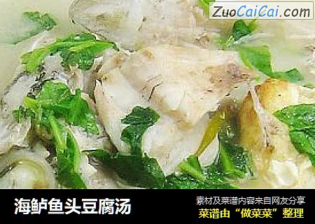 海鲈魚頭豆腐湯封面圖