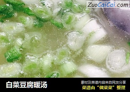白菜豆腐暖湯封面圖