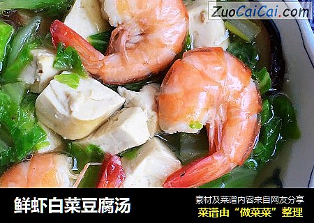 鮮蝦白菜豆腐湯封面圖