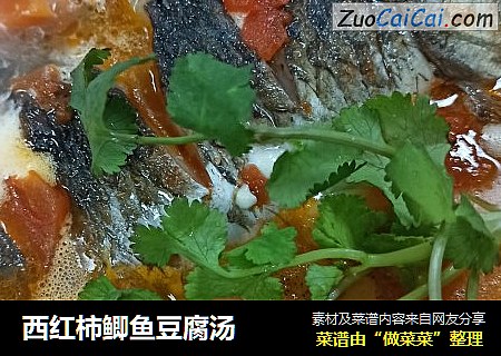 西紅柿鲫魚豆腐湯封面圖