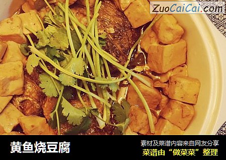 黃魚燒豆腐封面圖