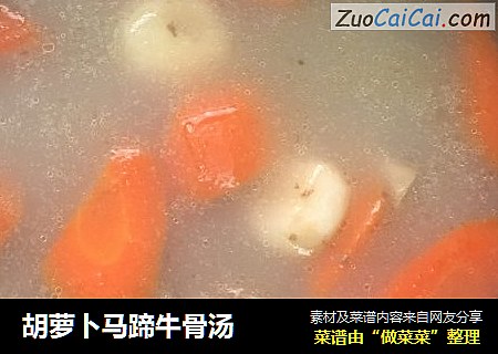 胡萝卜马蹄牛骨汤