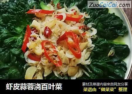 虾皮蒜蓉浇百叶菜