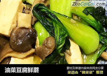 油菜豆腐鲜蘑