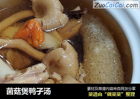 菌菇煲鴨子湯封面圖