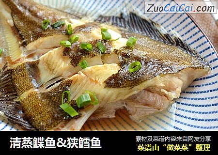 清蒸鲽魚&狹鳕魚封面圖
