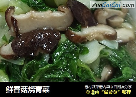 鮮香菇燒青菜封面圖