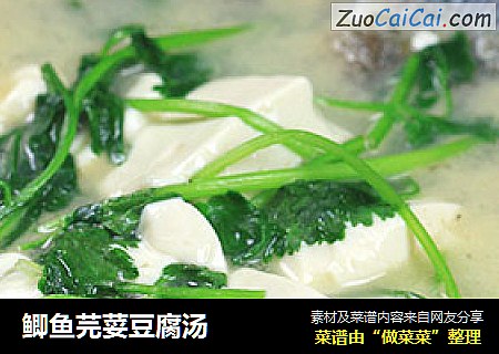 鲫鱼芫荽豆腐汤