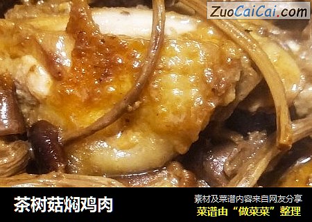 茶树菇焖鸡肉