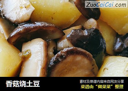 香菇燒土豆封面圖