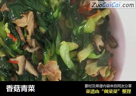 香菇青菜封面圖