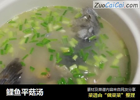鲤鱼平菇汤
