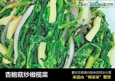 杏鮑菇炒橄榄菜封面圖