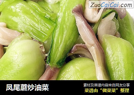鳳尾蘑炒油菜封面圖