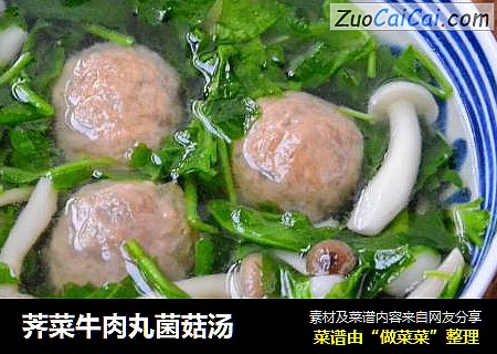 荠菜牛肉丸菌菇汤