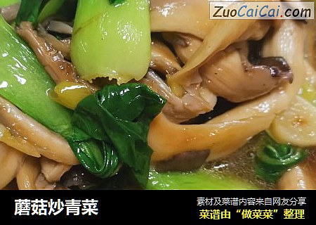 蘑菇炒青菜封面圖