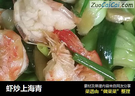 蝦炒上海青封面圖