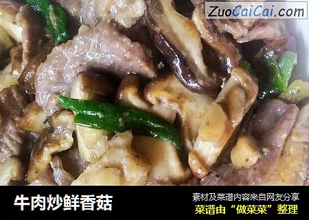 牛肉炒鮮香菇封面圖