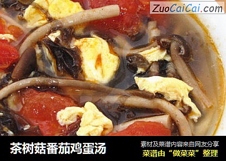 茶樹菇番茄雞蛋湯封面圖