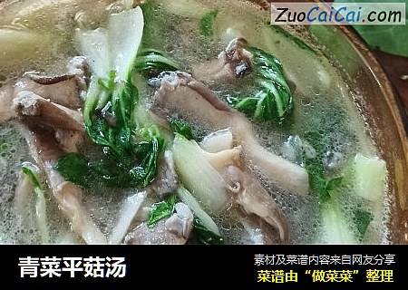青菜平菇湯封面圖