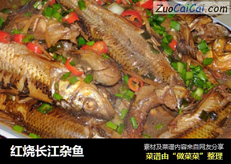 紅燒長江雜魚封面圖