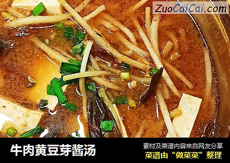 牛肉黄豆芽酱汤