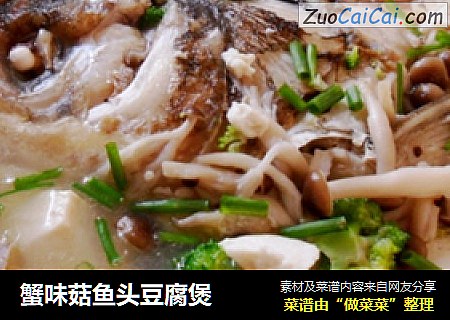 蟹味菇魚頭豆腐煲封面圖