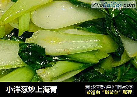 小洋蔥炒上海青封面圖