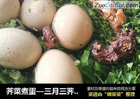 荠菜煮蛋—三月三荠菜賽靈丹封面圖