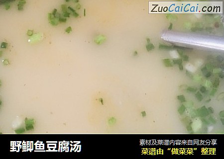 野鲫鱼豆腐汤