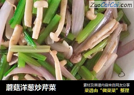 蘑菇洋蔥炒芹菜封面圖